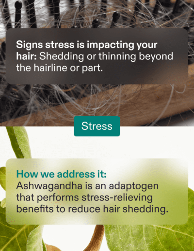 Nutafol 6 Root Causes Ayur Interventional and Vascular Care