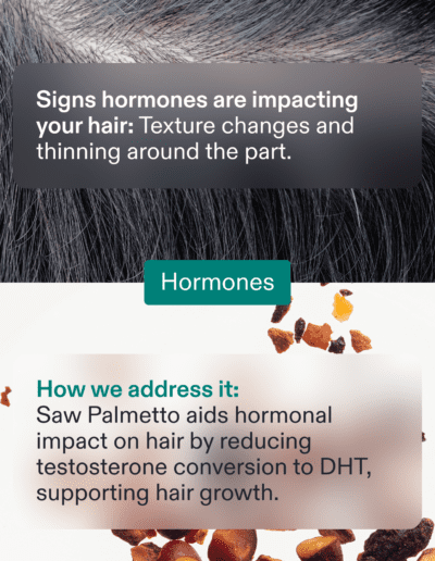 Nutrafol 6 Root Causes