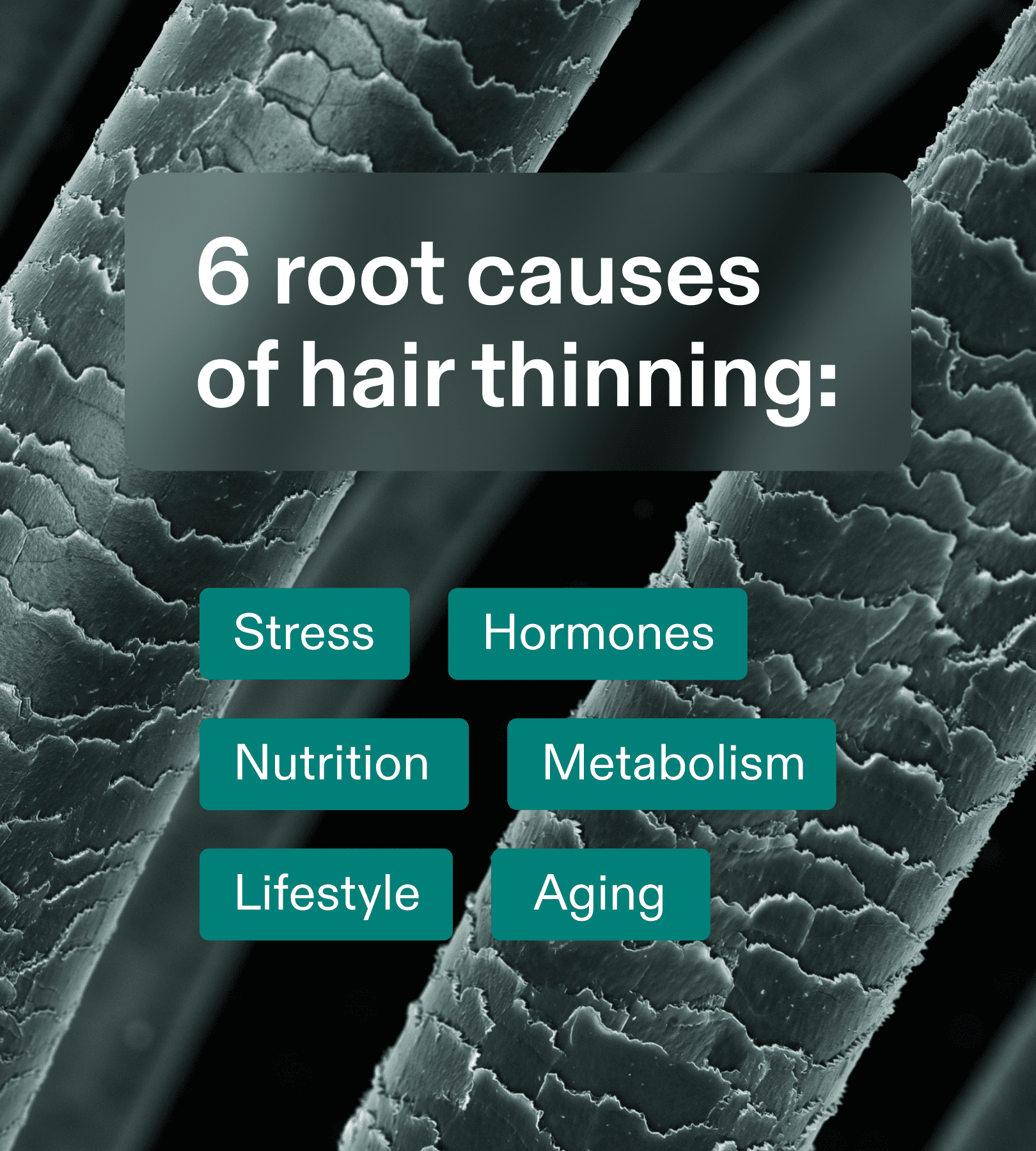 Nutafol 6 Root Causes HCP frame 1